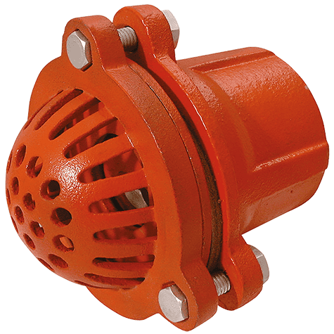 Foot Valve x 4" BSPP