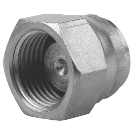 1" BSPP Hexagon Head Stainless Steel Blanking Cap