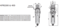 Air Filter/Regulator (6000 Lpm)