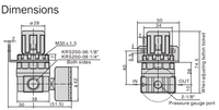 Mini Air Regulator