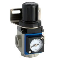 Air Regulator (3000 Lpm)
